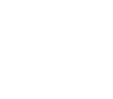 Donate Icon